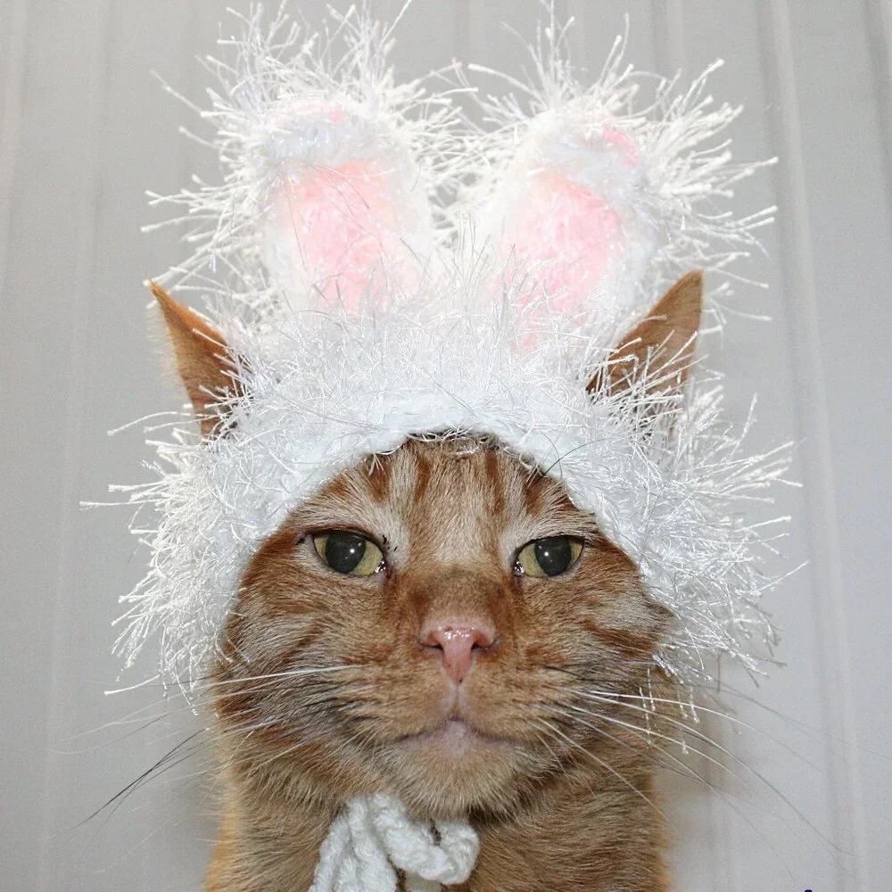 HAND CRAFTED Hat Crochet Easter Bunny Ears Cat Costume Photo Prop White